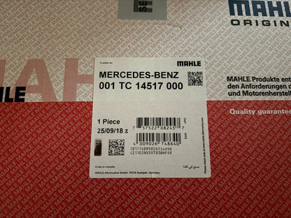 Mahle Mercedes Benz Turbolader 001TC14517000